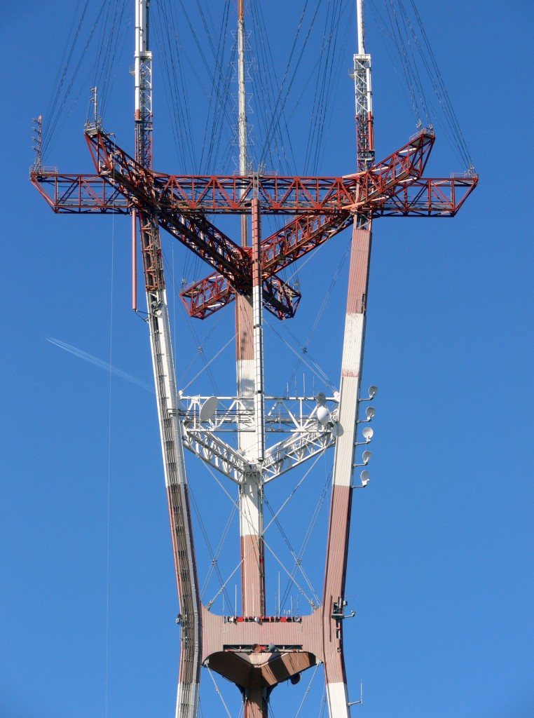 Telnexus now has transmitters on San Francisco landmark Sutro Tower.